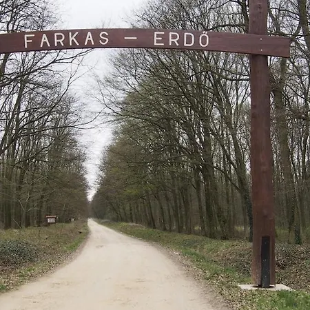 Lägenhet Ujkishaz -